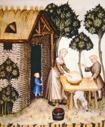 Nova 2644 fol.61r Zubereitung von Butter, aus Tacuinum Sanitatis